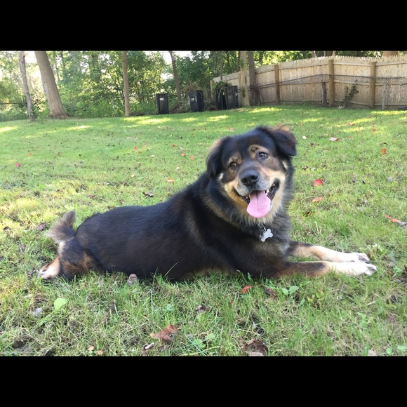 Meet your Posher, Gab - Picture 1 of 1